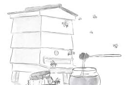 Beekeeping Course & Honey Afternoon Tea