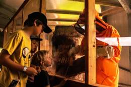 May Half Term at Quince Honey Farm