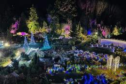 Christmas Illuminations