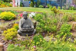Budleigh Open Gardens