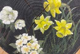 The Hidden Garden Challenge