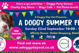 A Doggy Summer Fete