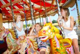 Paignton Festival