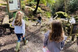 Canonteign Falls Great Easter Egg Hunt