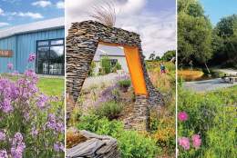 Evening Nature Walk with Supper & Music