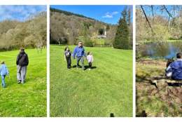 Canonteign Falls Half Price Dads for Fathers day