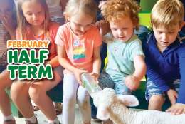 February Half Term Fun