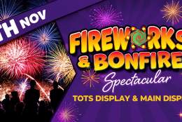 Fireworks & Bonfire Spectacular