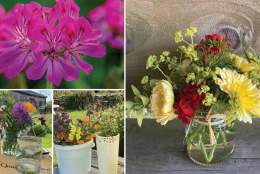 Flower Arranging and Forage Workshop