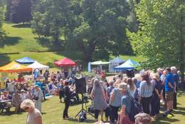 Luscombe Castle Charity Day