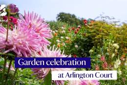 Garden celebration at Arlington Court