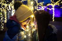 RHS Glow at Rosemoor Gardens