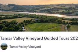 Tamar Valley Vineyard Guided Tour