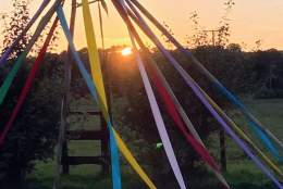 Tawland Music Festival