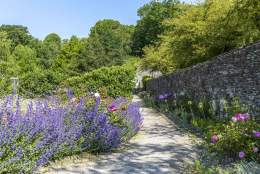 Guided Garden Tour