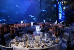 Functions and Events at National Marine Aquarium