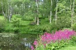 Stone Lane Gardens