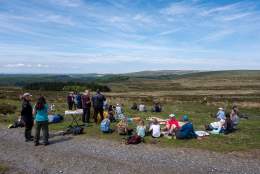 Guided walk & creative picnic at Harford Moor with Art and Energy
