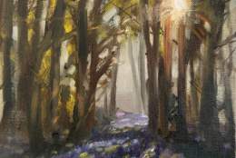Bluebells and Woodland