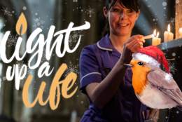 Light up a Life 2023