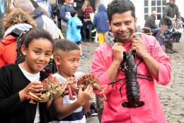 Lobster & Crab Feast in aid of The National Lobster Hatchery