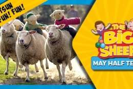 May Half Term Fun