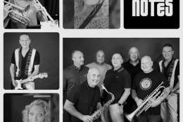 Live Music Nights - Nine Odd Notes