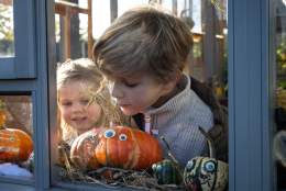 Oct Half Term - The Secret Life of Pumpkins
