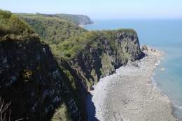 Guided walk with Pete Yeo: 'That Oceanic Feeling'