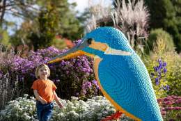 Summer Holidays: Brick Explorers