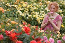 Festival of Roses