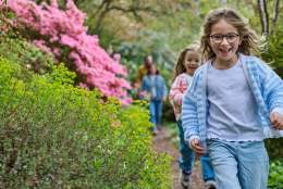 May Half Term: The Great Garden Game-a-thon