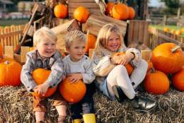 October Half Term with with Devon's Top Attractions