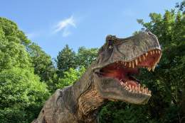 Combe Martin Wildlife and Dinosaur Park