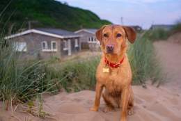 Saunton Beach Villas