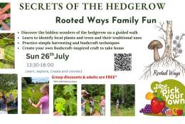 Secrets Of the Hedgerow - Rooted Ways Family fun