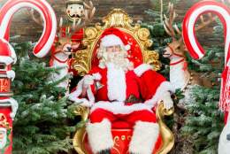 Cofton's Christmas Wonderland