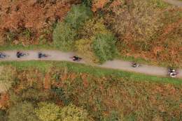 Halloween break at Calvert Devon