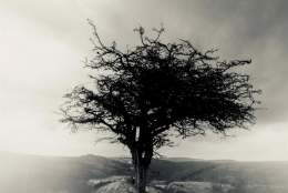 Dartmoor Photographic Walk in the footsteps of Ravilious