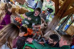 Quince Honey Farm's Apple & Honey Harvest