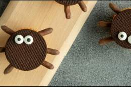Baking workshop for children