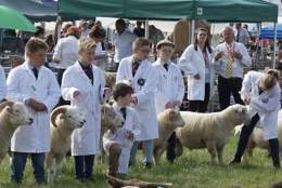 Mid Devon Show