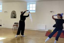 Mindful Movement Workshops