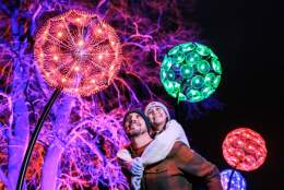 RHS Glow Illuminations