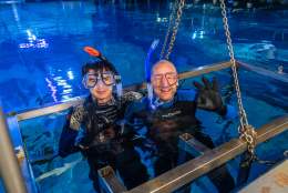 Snorkel at The National Marine Aquarium