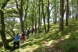 North Devon walking festival