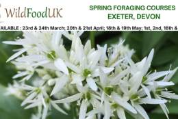 Foraging Course with Wild Food UK at Exeter
