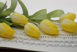 Spring Concert