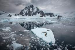 Earth Photo exhibition