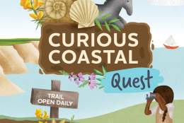 Curious Coastal Quest